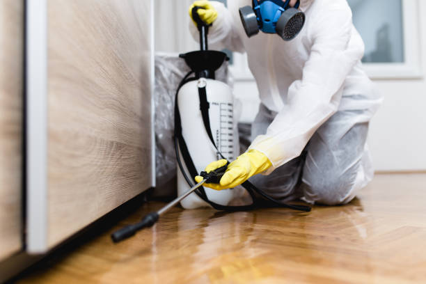Best Pest Prevention Services  in Richmond Heights, FL