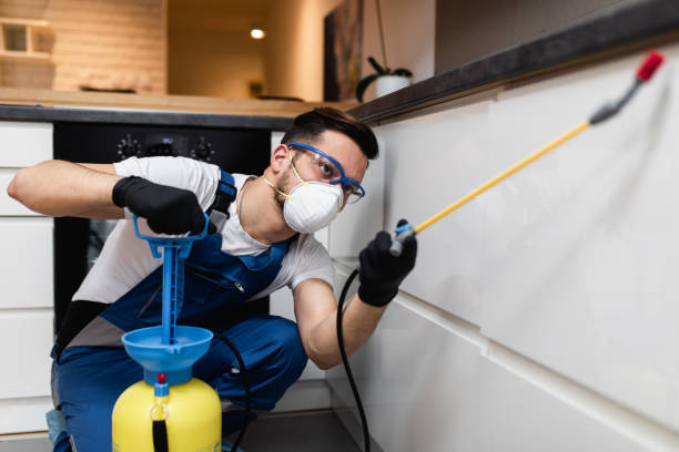 Best Best Pest Control Companies  in Richmond Heights, FL