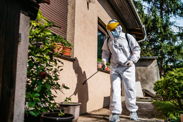 Best Rat Extermination Near Me  in Richmond Heights, FL