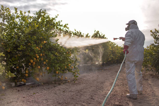 Best Pest Removal Services  in Richmond Heights, FL