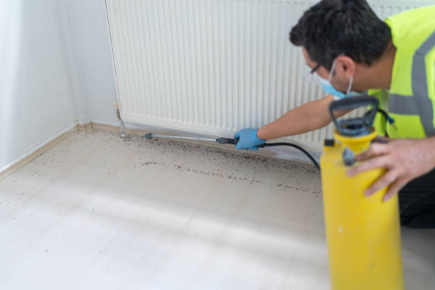 Professional Pest Control in Richmond Heights, FL