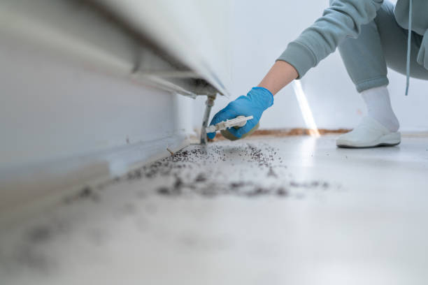 Bird Control in Richmond Heights, FL