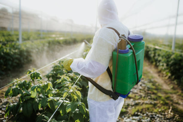 Best Exterminator Services  in Richmond Heights, FL